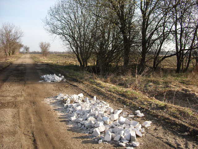 Bäume Großthiemig Bauschutt